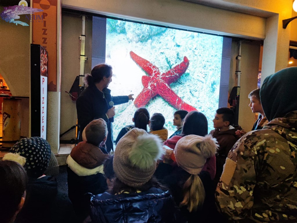 FOTO | Započeo 2. Lignjolov kup u Neumu: Održan “Family squid game” s bogatim programom