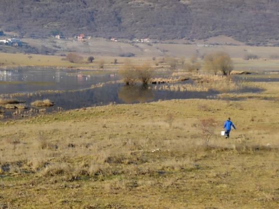 U rijeku Šujicu pušteno 6000 komada mlađi potočne pastrve