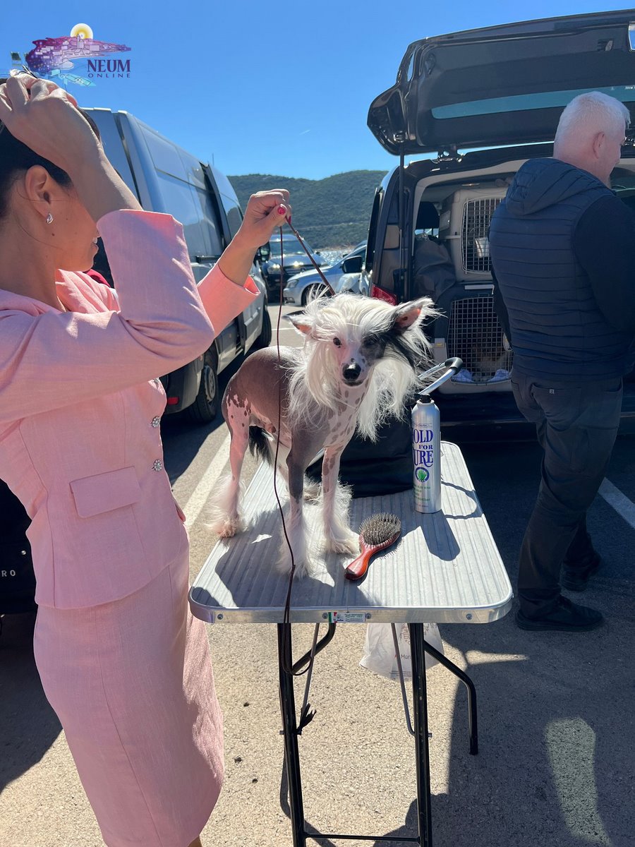 FOTO| Druga po redu izložba pasa u Neumu