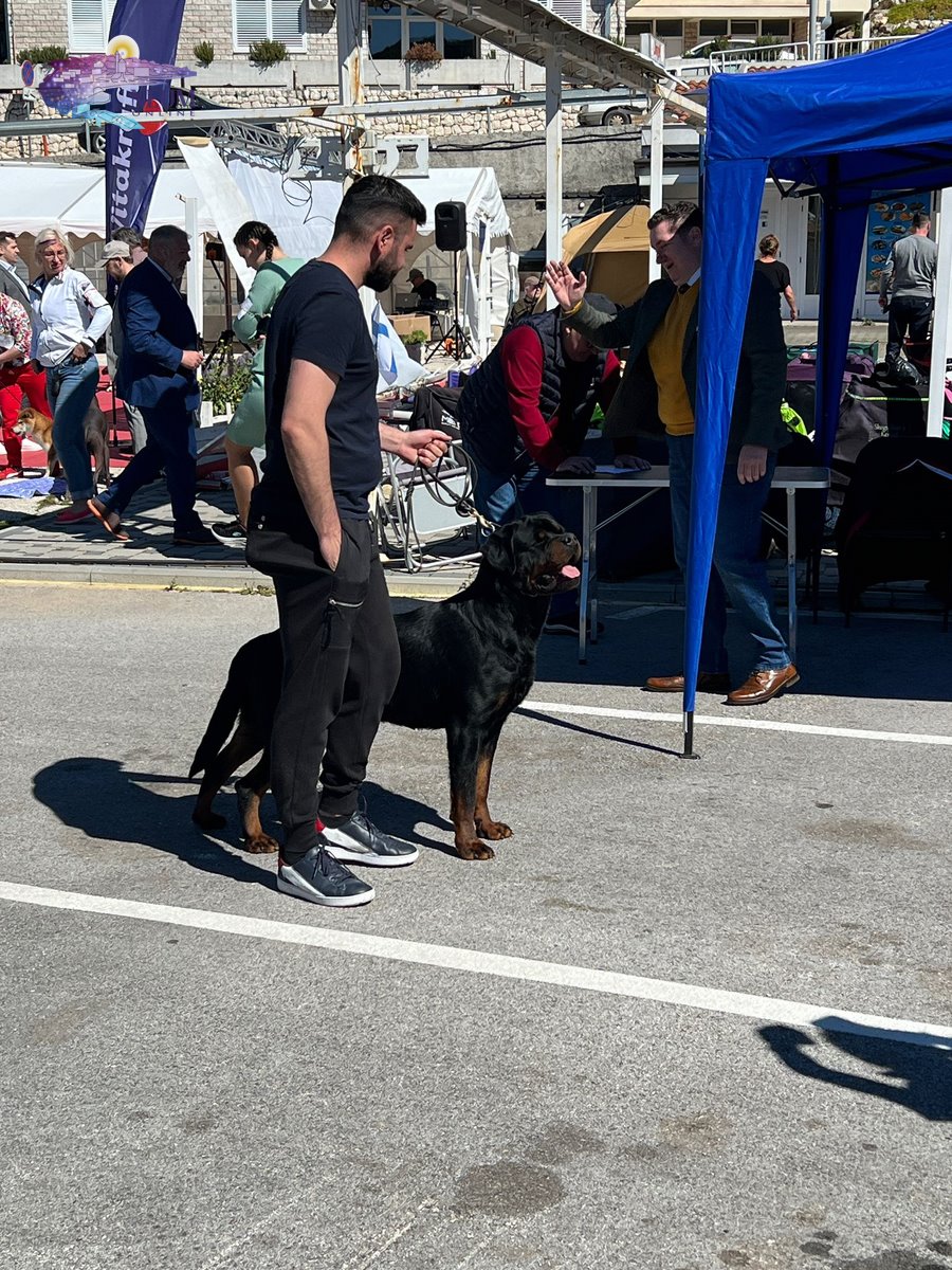 FOTO| Druga po redu izložba pasa u Neumu