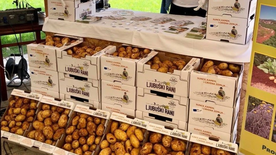 dubravko vukojević: masovni uvoz krumpira ugrožava domaće proizvođače