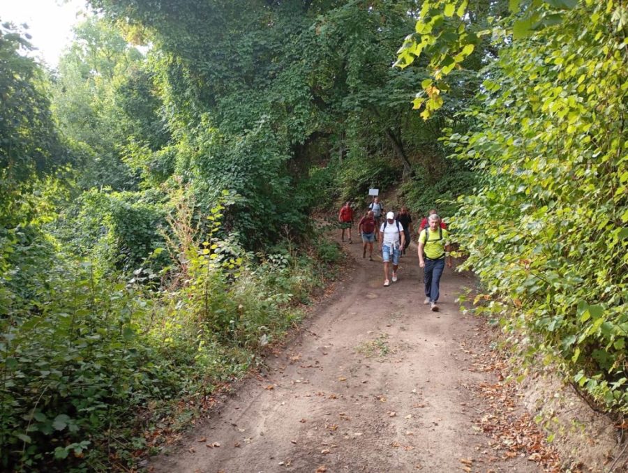 Tri dana putovanja od Kiseljaka, Kreševa i Fojnice do Majke od Milosti u Rami