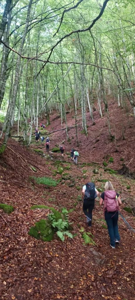 Tri dana putovanja od Kiseljaka, Kreševa i Fojnice do Majke od Milosti u Rami