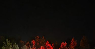 IMG 20260719 WA0017